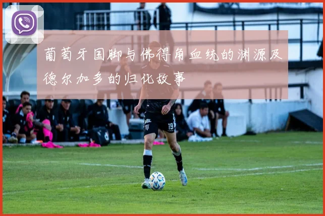 葡萄牙国脚与佛得角血统的渊源及德尔加多的归化故事